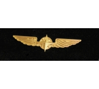 Значок для пилота крылья, Gold, 35 mm