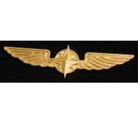 Значок для пилота крылья, Gold, 50 mm