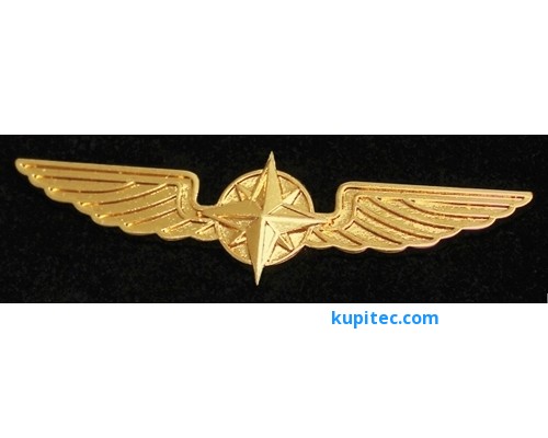 Значок для пилота крылья, Gold, 50 mm
