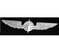 Значок для пилота крылья, Silber, 50 mm