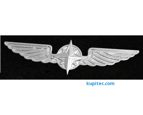 Значок для пилота крылья, Silber, 50 mm